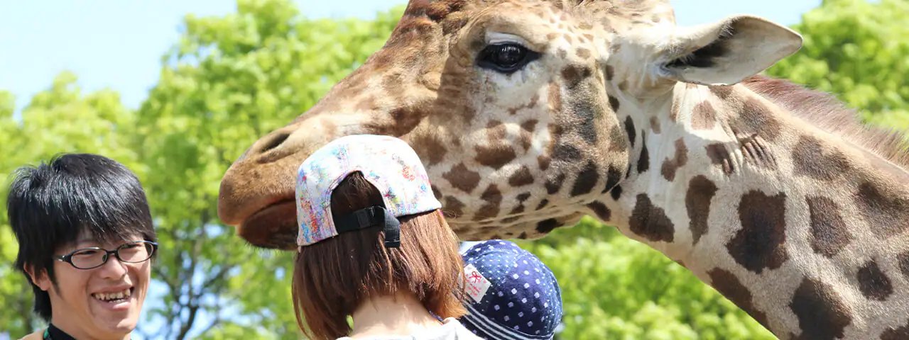 🦁 오무타시 동물원(오무타시 도부쓰엔)
